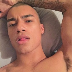 Daily Reece King