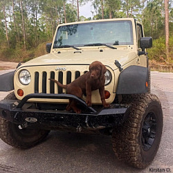 jeep:  The dog days of summer are almost here.