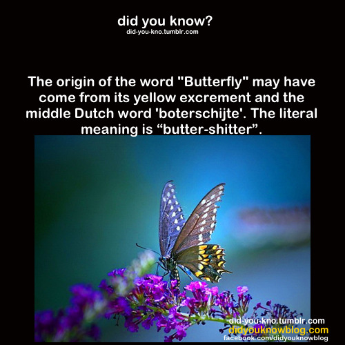 did-you-kno:  Source 