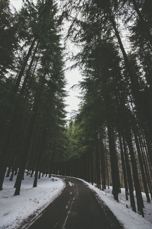 Let it go