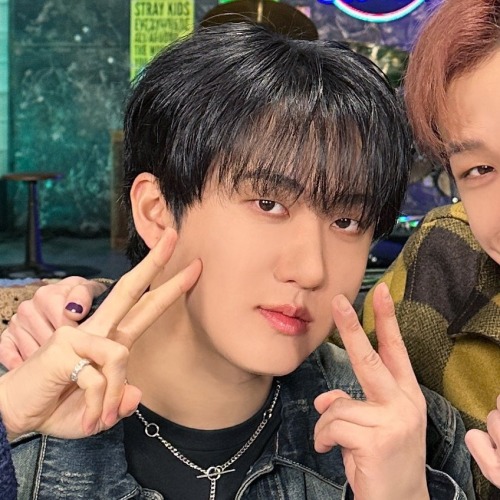 Stray Kids Matching Icons/metadinhas (2 Kids Show Ep. 06).