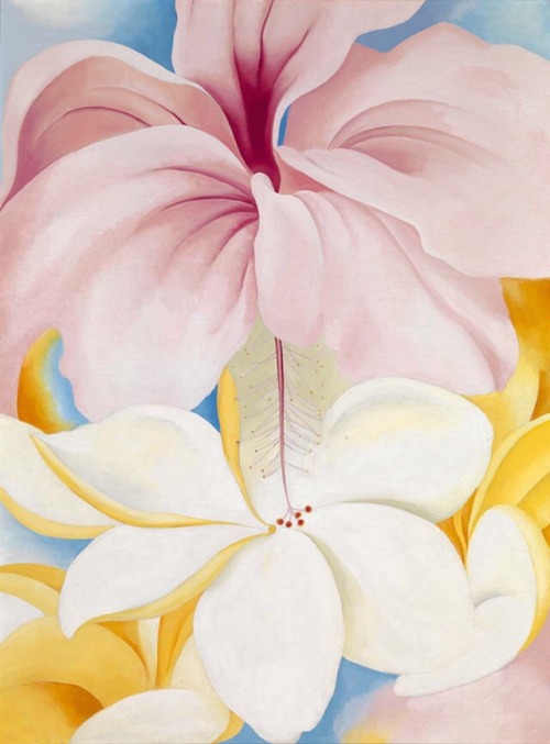 art-is-art-is-art: Hibiscus with Plumeria, Georgia O’Keeffe