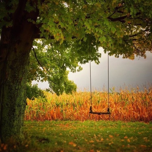 Celebrate of AutumnViaThe country_features blog