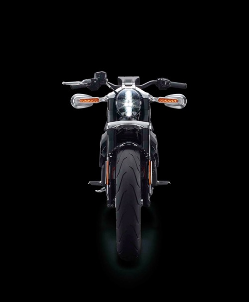 habermannandsons:  H-D Livewire Electric Bike