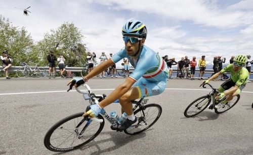 gentlemandomestique:Throwback Thursday: Nibali, Giro 2016. Bettini