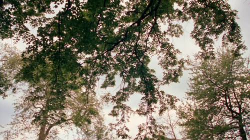 doesthiscomeinnavy:Marie Antoinette (2006) dir. Sofia Coppola