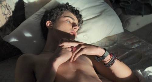 Porn Pics guysonfilms:  Timothée Chalamet (Call Me