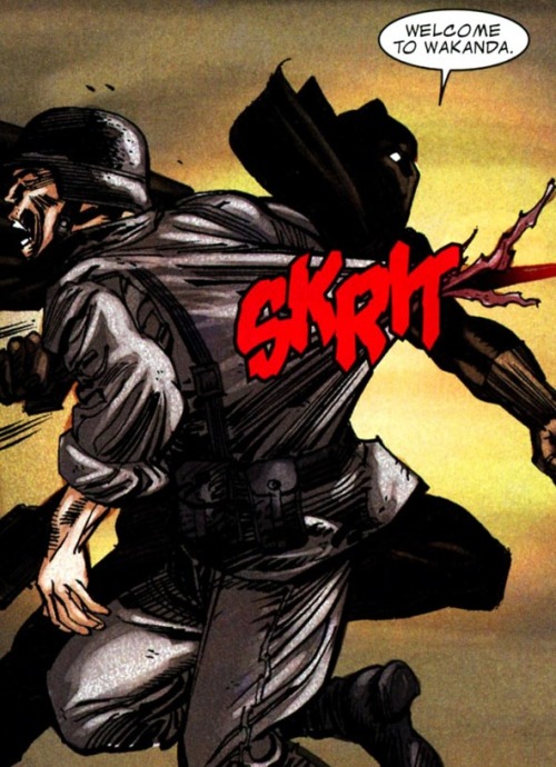 From Captain America/Black Panther: Flags of our Fathers #2 by Hudlin/Cowan.