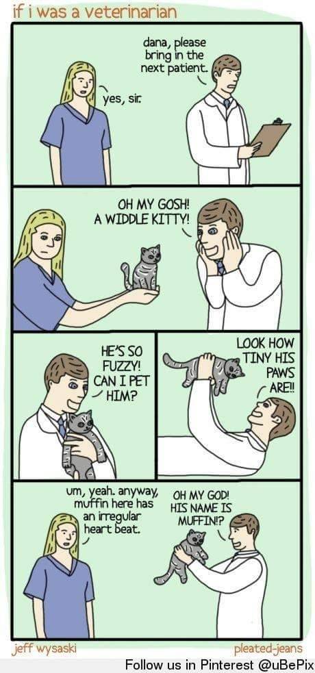 There is not one thing that could explain you any better than this. This would totally