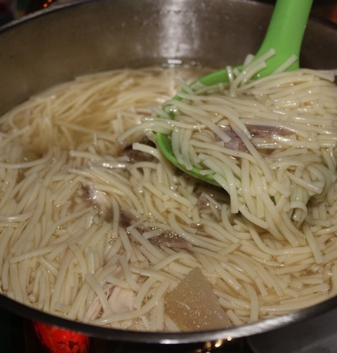 Chicken Noodle Stew With Onions