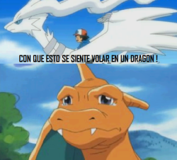 futubandera:  ash ql pesao :’C