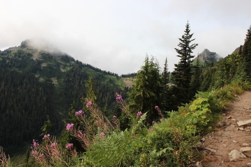 burningmine:Mount Rainier National Park, 2018