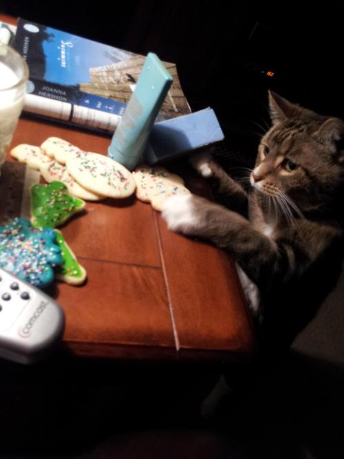 We discovered our cat enjoys Christmas cookies as much as we do&hellip;  (But no, we didn&a