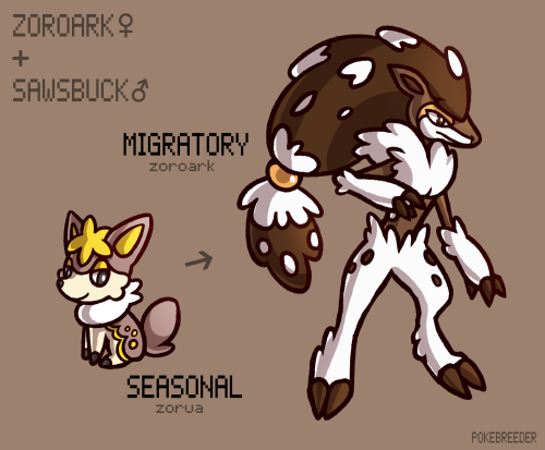 Packs of Seasonal Zorua and Migratory Zoroark live in remote forests and mountains, where they trave