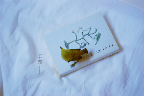 ▋ Japanese White-eye ( custom-made ) Sculpture approximately 5 x 8 x 8 cm 