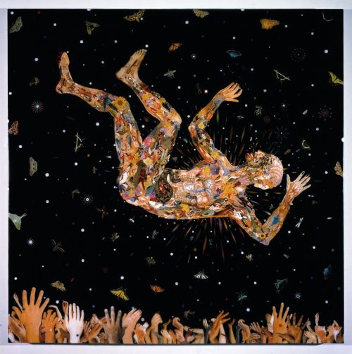 myampgoesto11: Intricate collage art by Fred Tomaselli  Fred Tomaselli makes exquisit