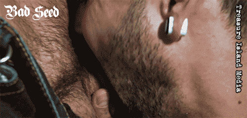 ilovebearsposts:  http://ilovebearsposts.tumblr.com/archive