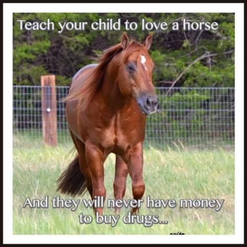 booksandbeers:Please stop allowing your child`s deadbeat horse to steal all their money it is bad pa