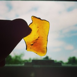theaciddfairy:  Happy shatter day loves 🍯🐝☺️