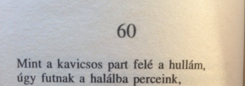 .sehogysejo.