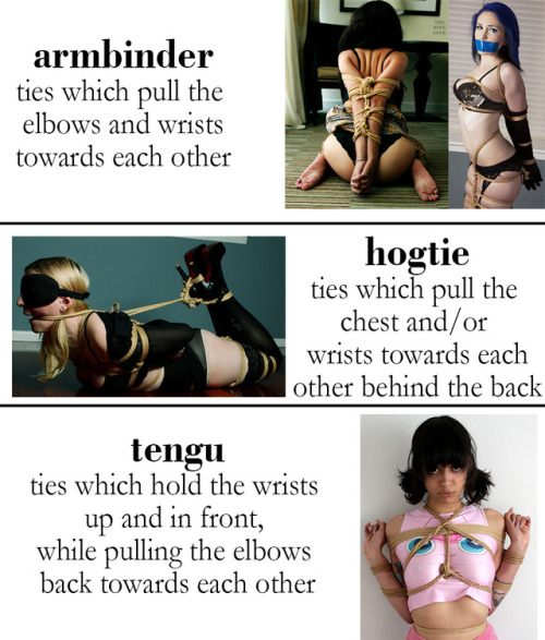 Porn thebeautyofrope:  The Incomplete Rope Dictionary. photos