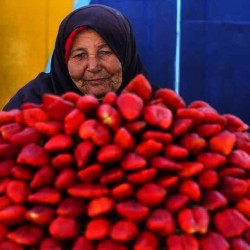 Open market in Bahrain!  #Bahrain #middleeast #openmarket #travel #traveling #seeingtheworld