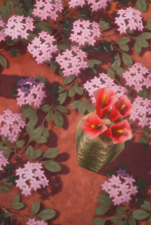 Cacti Appreciation Post
