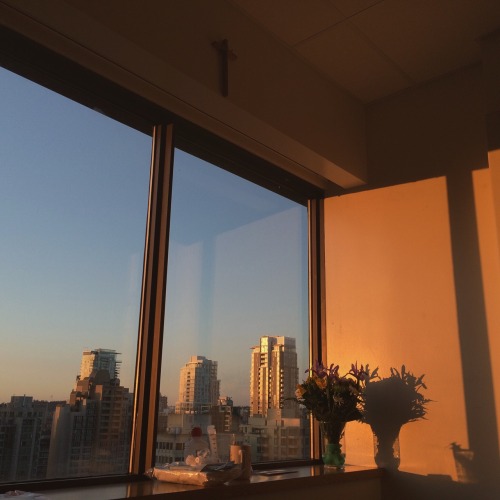 Catholic Hospital Still Life {sunrise}