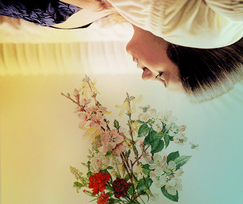 sibleymary-blog: if i stumblethey’re going to eat me alive