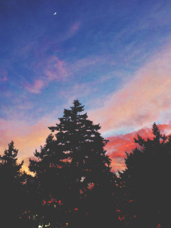 tuaari:  the sky was pretty last night ☽