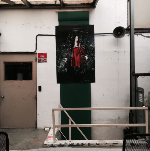 ‘I Don’t Wanna Love You’  Exhibition 