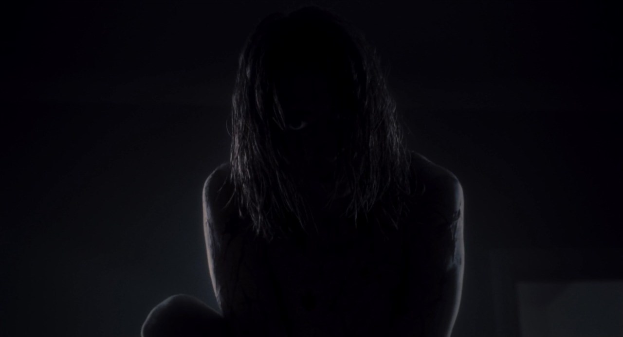 cleofisrandolph:Martyrs (2008) dir. Pascal Laugier, cinematography by Stéphane