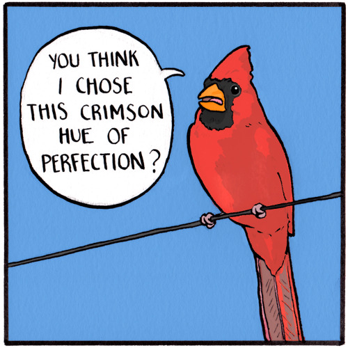 falseknees:An #oldknees remastered!