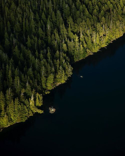 kylervos:Morning light hitting the shore of Clayoquot sound, shot with help from @atleoair . “Land a