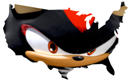 sonic-wildfire: Shadow the Hedgehog Takes Over the United States