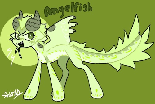 4/105 - Angelfishok so i’m really tired rn so info about her will be added later 