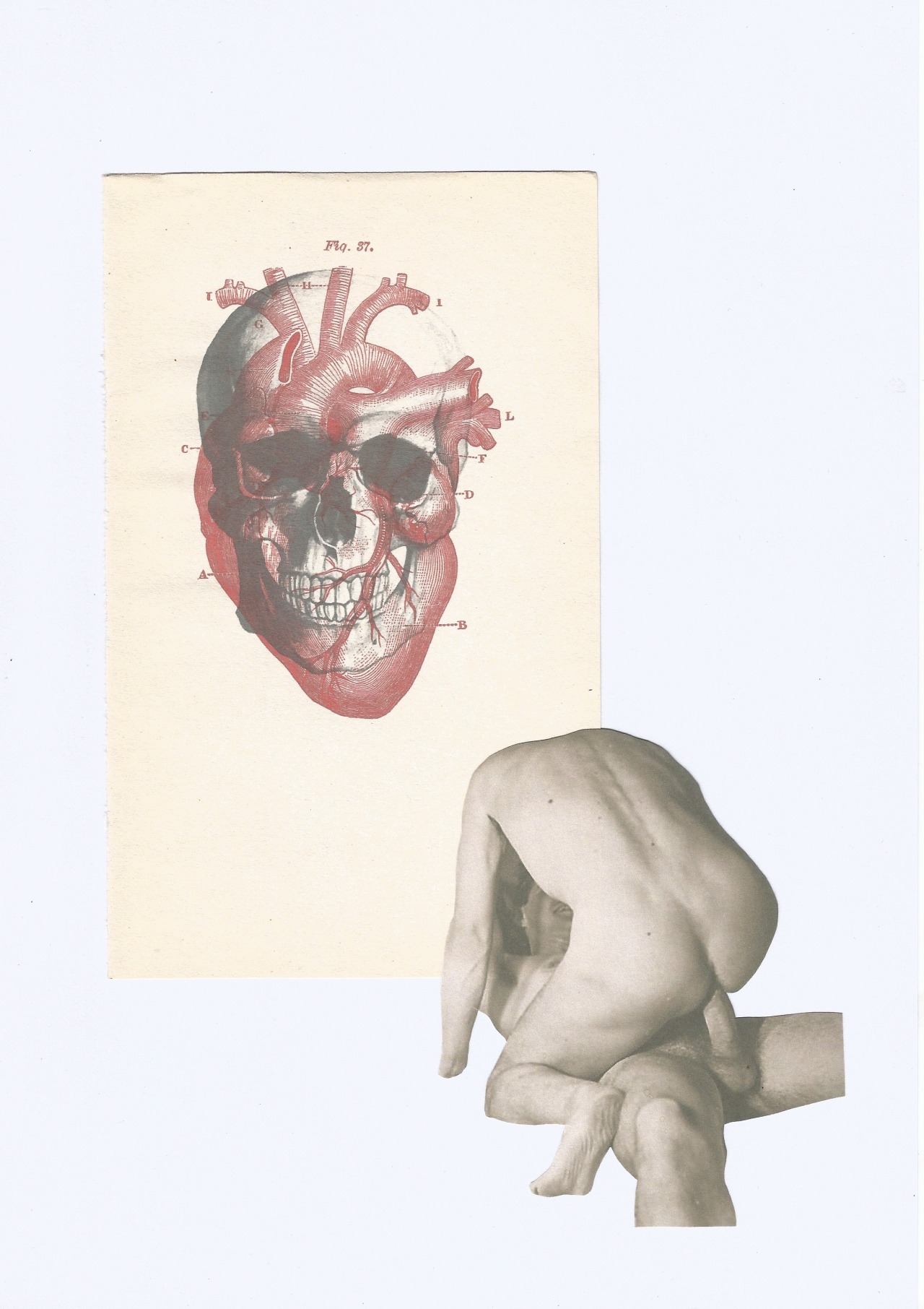 enolamai:  Sin In My Heart (8/8) 8” x 10” C-type prints 2014 @iambsebastian 