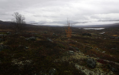 Day 7: Tundra hiking under grey skies by Gregor Samsa