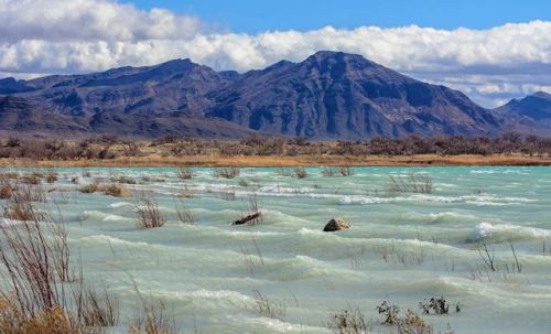 americasgreatoutdoors:This isn’t a scene you’d expect to find in the Nevada desert: pools of Caribbe