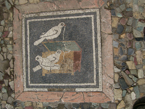 fuckyeahwallpaintings: House of the Faun/ Casa del Fauno, Pompeii, Italy, 2nd century BC Photo: Etha