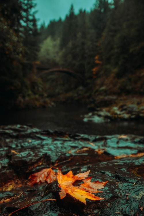 lsleofskye:Washington | r4s