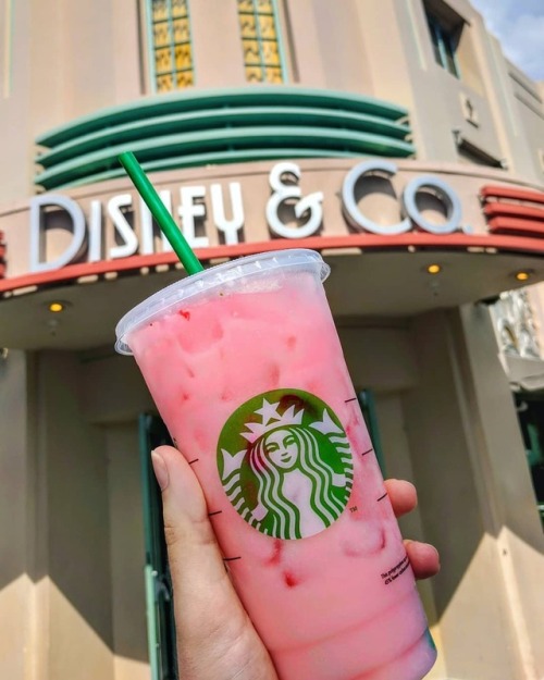 Who’s in the mood for some pink drink???#hollywoodstudios #starbucks #pinkdrink #itsPracticall