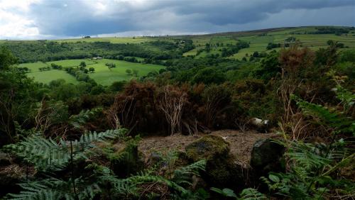 The Visitors - Set 1.Socially isolating in Nidderdale, North Yorkshire (exercising of course), amaze