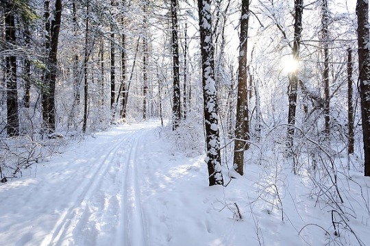 angrylilshit:  So like, I’ve never understood those posts that are like “oh the midwest is nothing but cornfields” like,haveyoueverfuckinglookedattheMidwestonceinyourlife?TheMidwestisabsolutelyfuckingbeautiful.