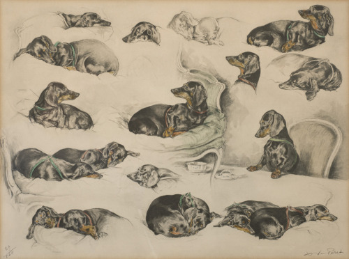 art-and-things-of-beauty:Pencil/watercolor studies of dachshunds by Xavier de Poret (1894-1975).