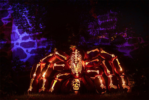 simplyawesom3:sixpenceee:Held every year in New York, the Great Jack O’Lantern Blaze is a 25-night-l