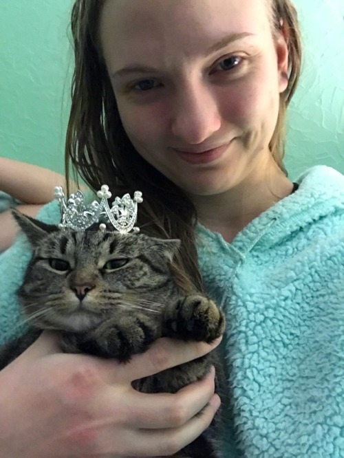 coolcatgroup:Princess Tigerbelle’s tiara came today!!! She is officially a princess!!! I&rsquo