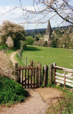 bonitavista:     Surrey, England  photo via mejrima