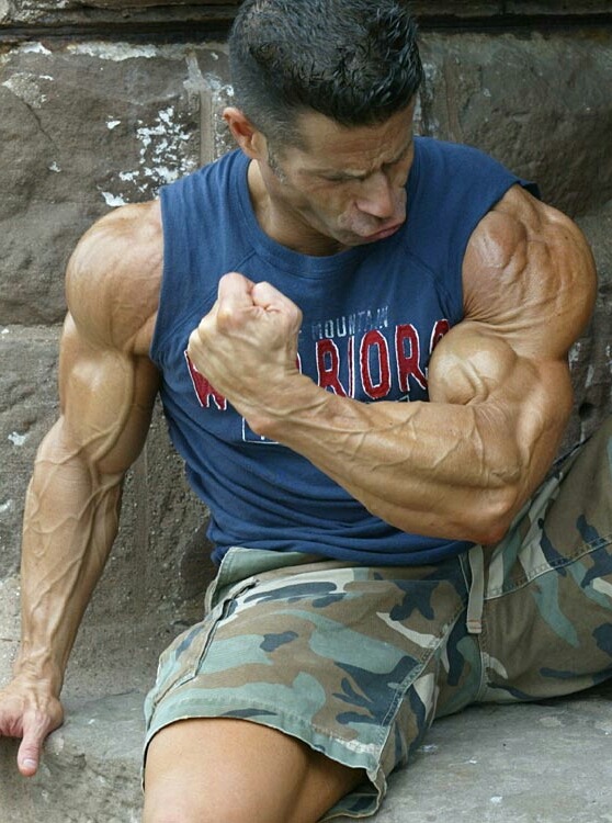 Muscle