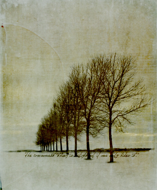 ryverfenix:  darksilenceinsuburbia:  Jamie Heiden  Nice.